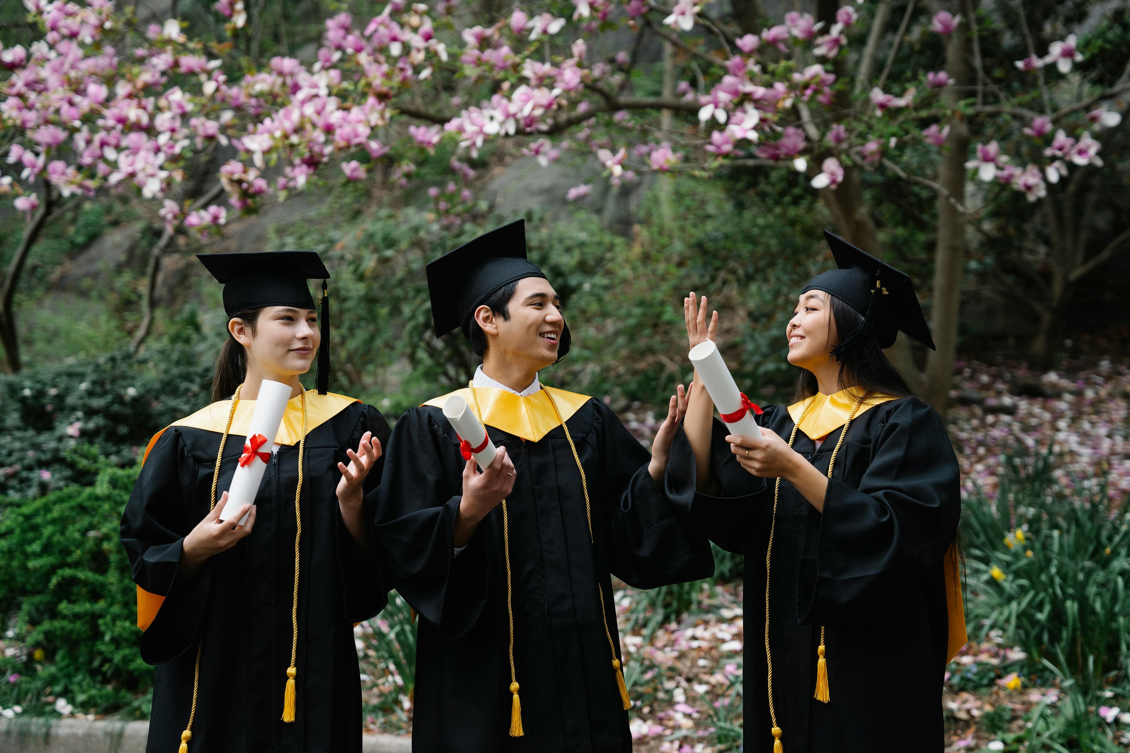 Bachelor Degree Background